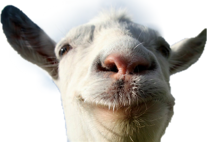 Goat Simulator 7 (700x480), Png Download