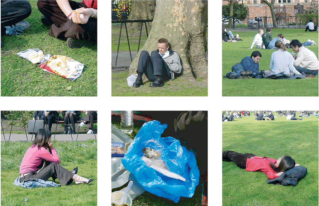 When We Go On A Picnic It Is Generally A Spontaneous, - Grass (1024x662), Png Download