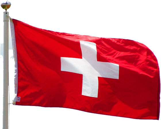 Switzerland Federalized - Just Change It A Little Meme (560x447), Png Download