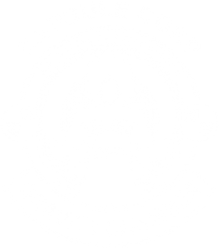 Capsule Corporation Gravity Chamber (500x500), Png Download