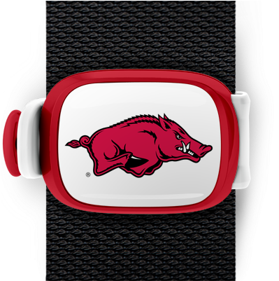 Arkansas Razorbacks Stwrap - Personalized Louisville Slugger Baseball Bat - Arkansas (550x400), Png Download