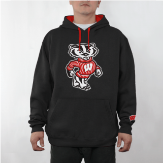 Wisconsin Badgers Black Bucky Pullover Hoodie - Wisconsin Badgers (320x400), Png Download