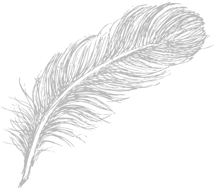 Feather Drawing Png (443x425), Png Download
