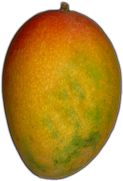 Harbor - Mango Transparent Background (500x400), Png Download