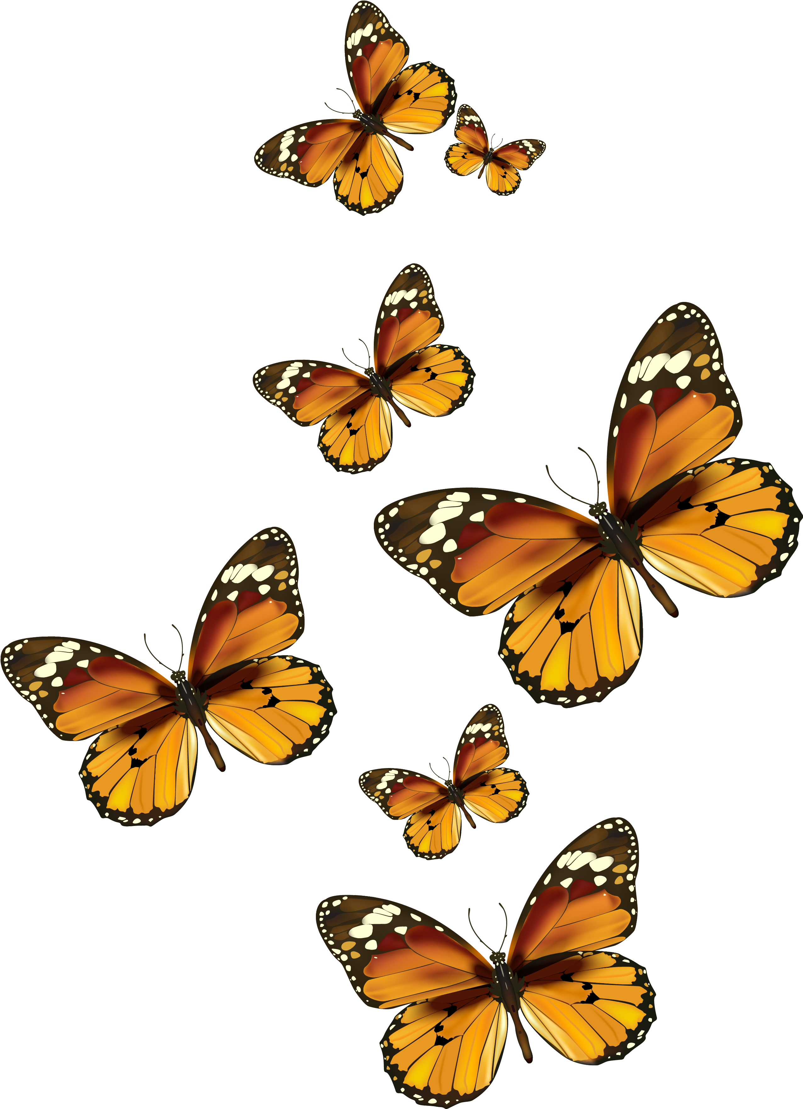 Download Butterflies Vector Png Clipart Pictureu200b Gallery - Transparent  Background Monarch Butterfly Clipart PNG Image with No Background -  