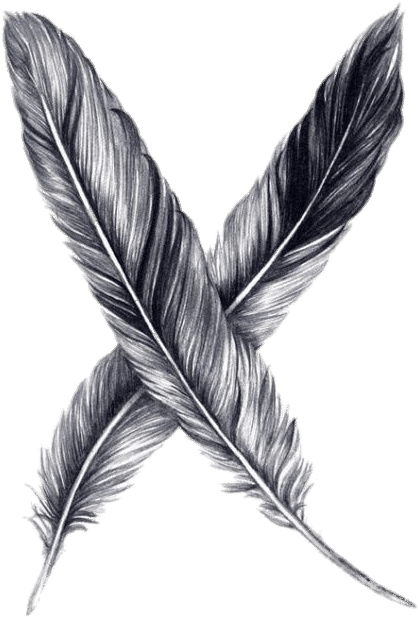 Feathers Drawing - Feather Drawing (600x660), Png Download