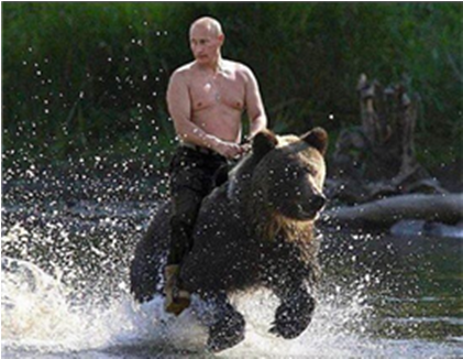 Thumb Image - Putin And A Bear (420x420), Png Download