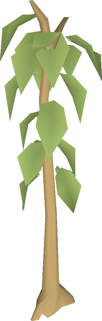 Teak Tree - Teak Tree Osrs (332x1035), Png Download