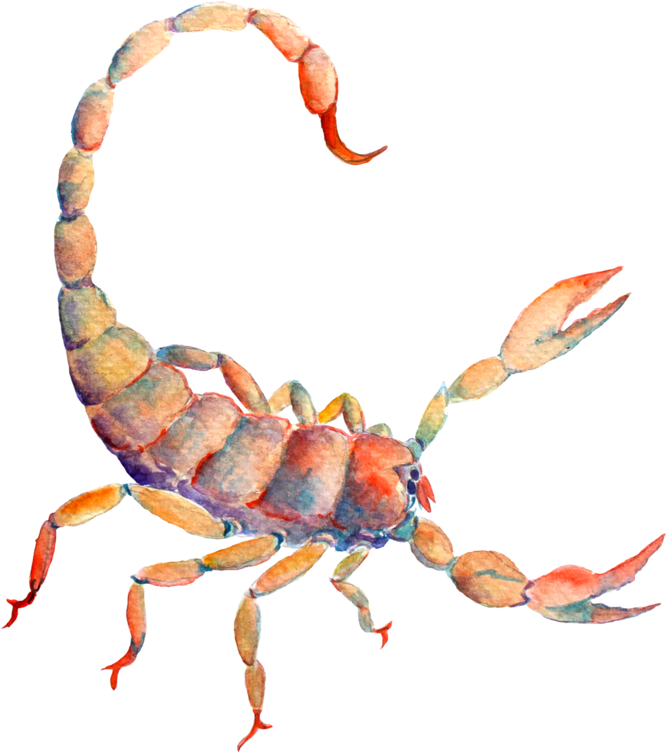 9-1 - Astrological Sign (1000x1099), Png Download