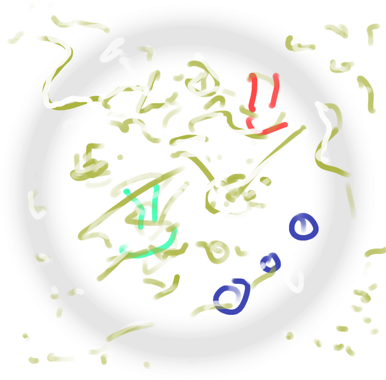 Http - //i39 - Tinypic - Com/x5z6mw - Calligraphy (800x800), Png Download