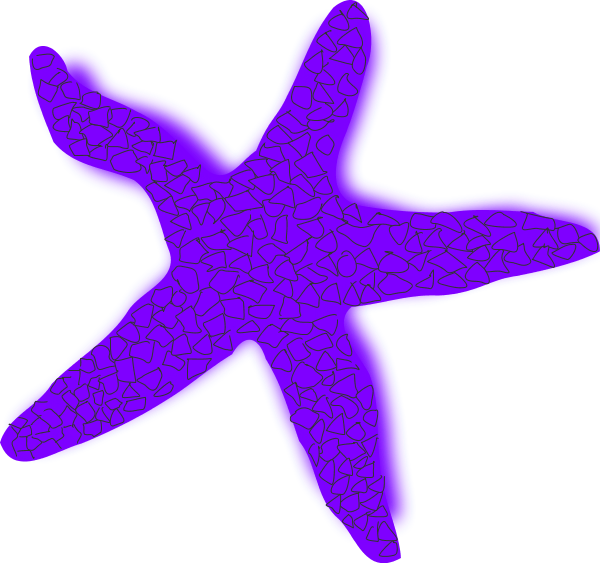 Starfish Illustrations And Clipart 1 Starfish Free - Estrellas De Mar Roja (600x563), Png Download