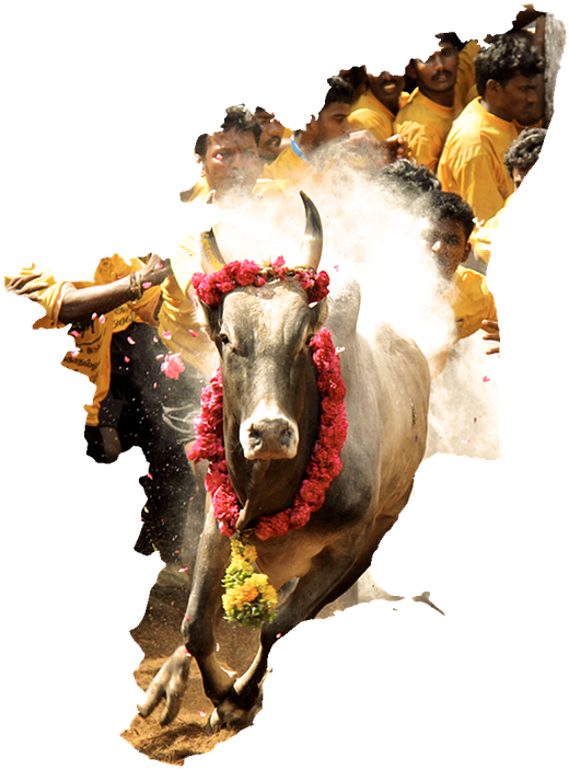 Tamilnadu Tamil Culture South - Advanced Tamil New Year (1280x720), Png Download