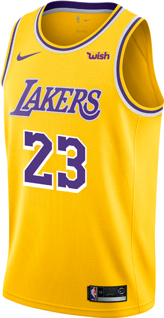 Los Angeles Lakers Youth Lebron James Icon Edition - Los Angeles Lakers 2018 19 Jersey (500x667), Png Download