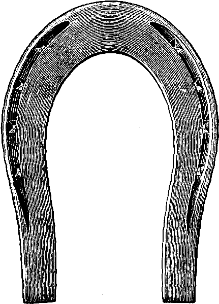 Digital Stamp Design - Number (645x790), Png Download