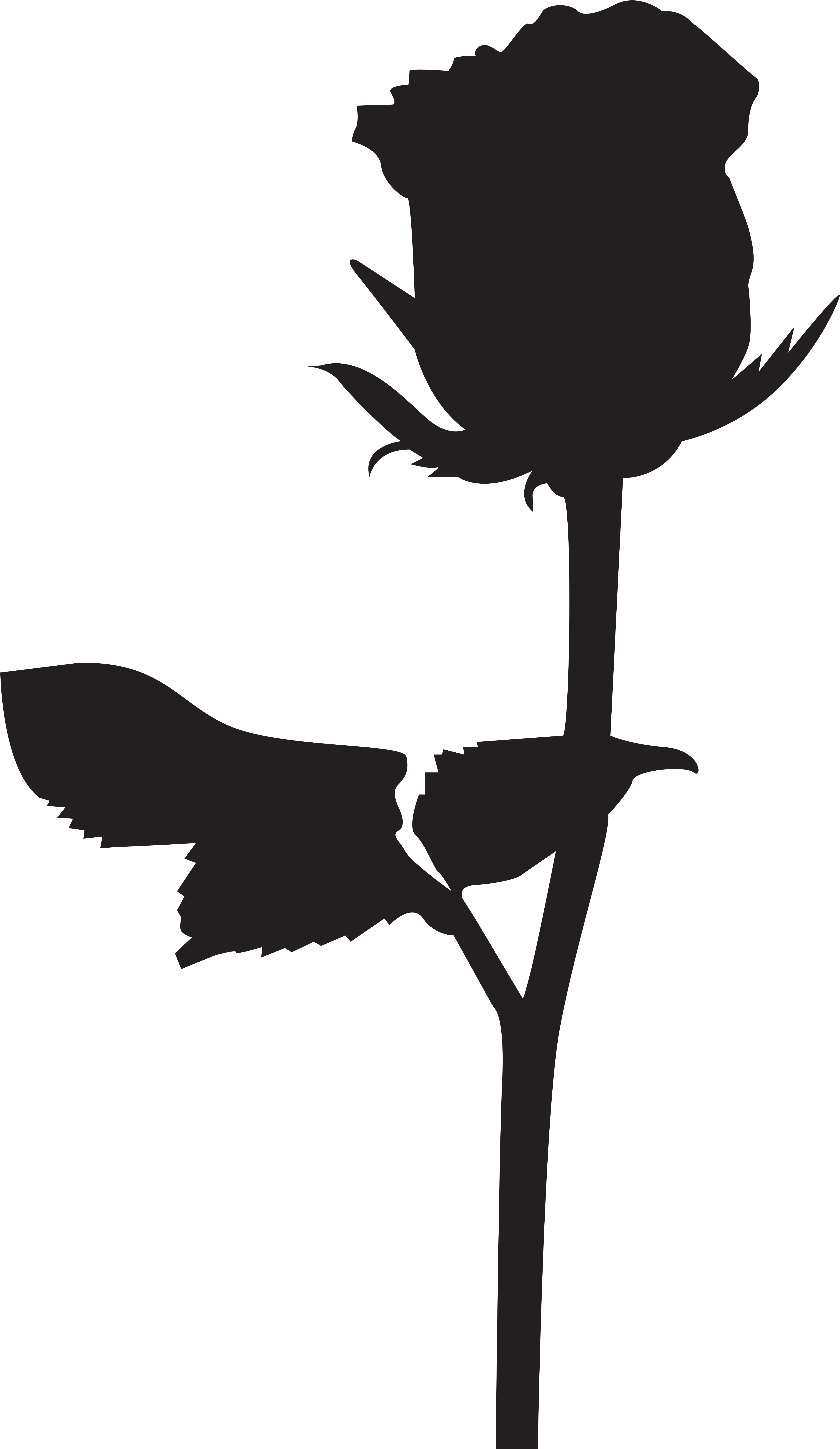 15 Beauty And The Beast Silhouette Png For Free Download - Silhouette Of A Rose (4624x8000), Png Download