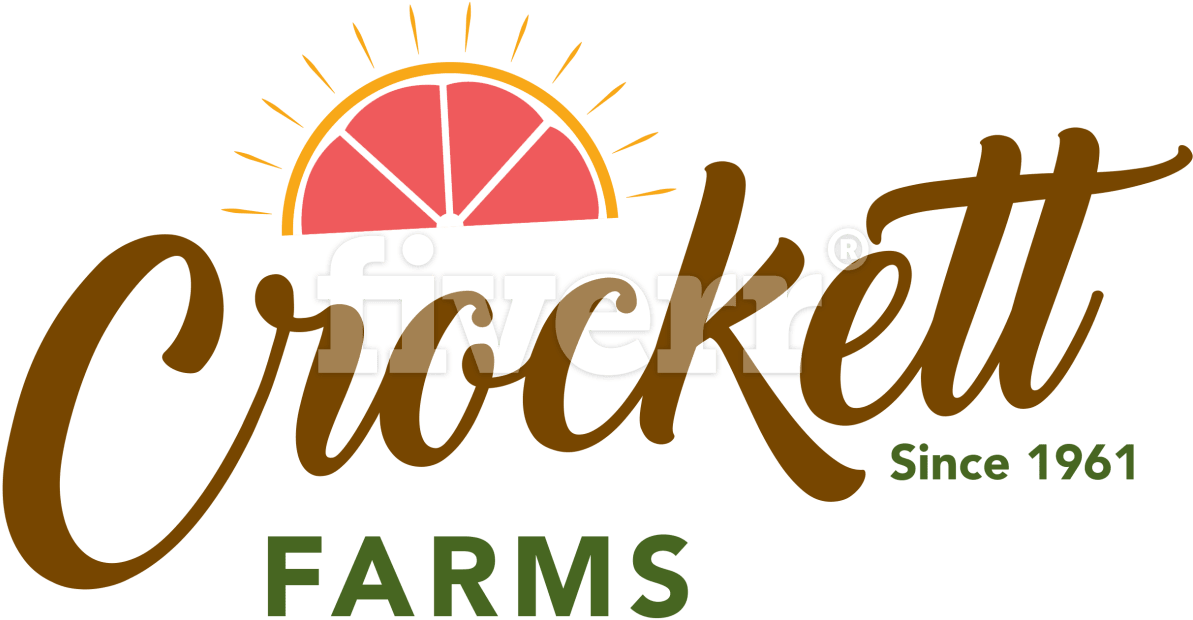 World Of Art - Broché (1200x694), Png Download