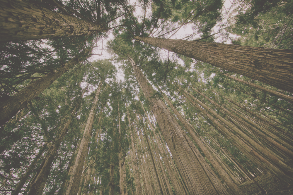 Aura Cover Page 1 No Logo (1000x667), Png Download