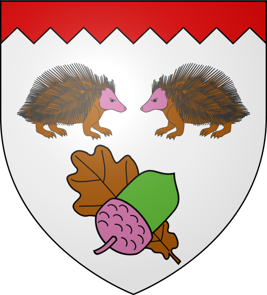 Drawn Hedgehog French - Cartoon (545x600), Png Download