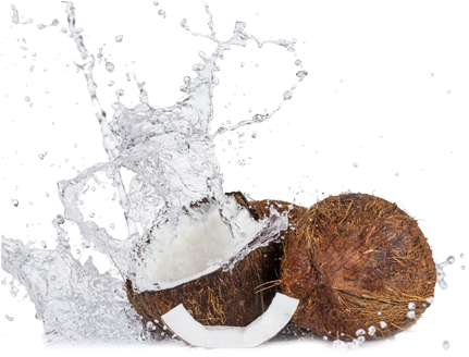 Cococraze Is An Infusion Between Malaysian And Indonesian - Water (457x340), Png Download