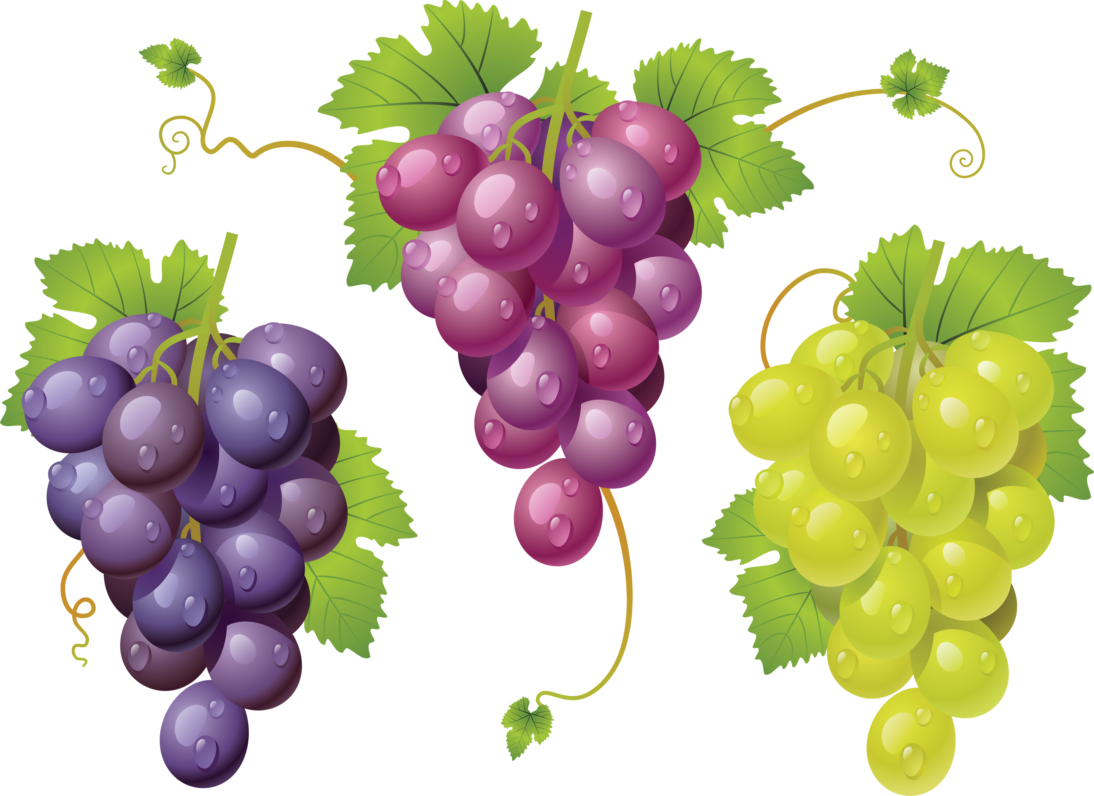 Grapes Png (3568x2597), Png Download