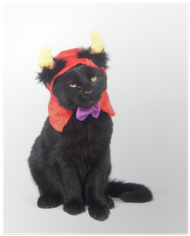 Black Cat (400x400), Png Download