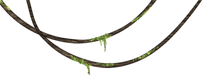 Portable Network Graphics (690x258), Png Download