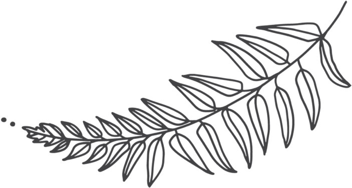 Fern-2 (1000x533), Png Download