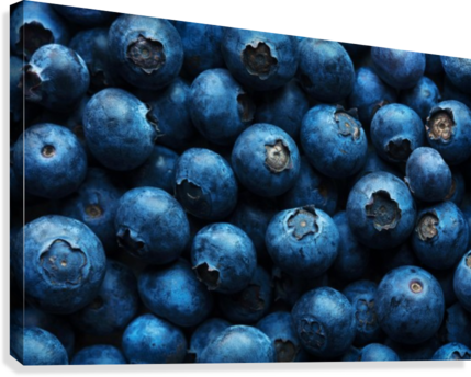 Blueberries Background Close-up Canvas Print - Blueberries Background (429x344), Png Download