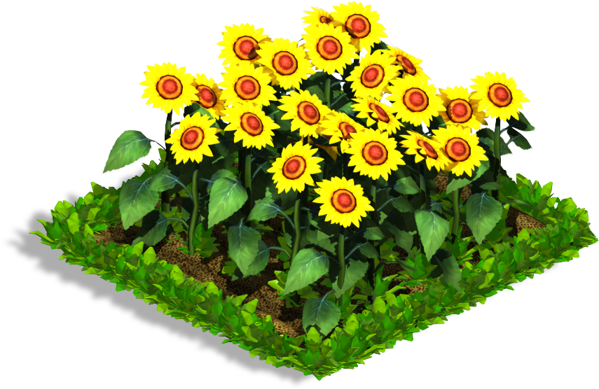 Sunflower - Indian Blanket (1024x1024), Png Download