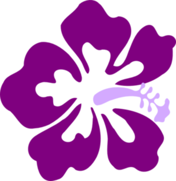 Width Of This Illustration Is 582 Pixels - Hibiscus Clip Art (582x597), Png Download