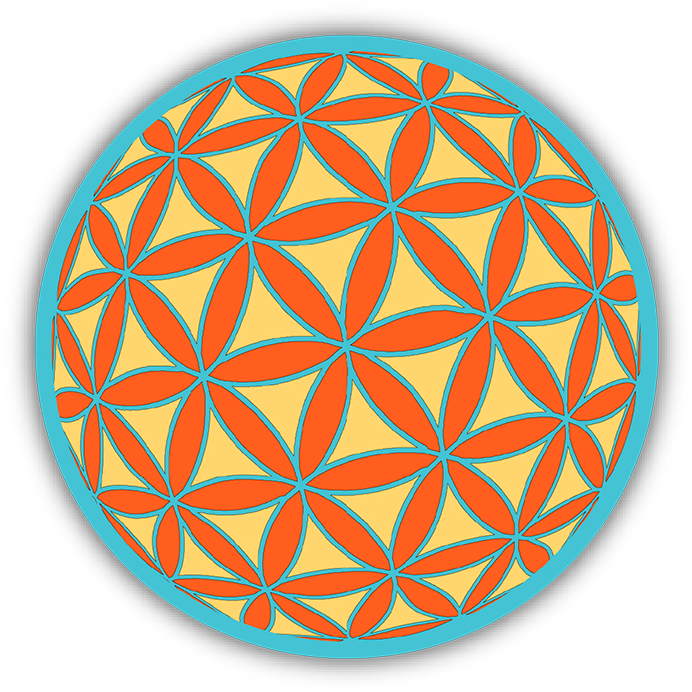 Flower Of Life - Musorka (720x720), Png Download