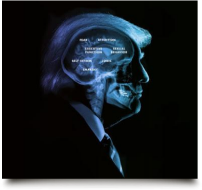 #267 / Who Decides - Mental Fitness (450x400), Png Download