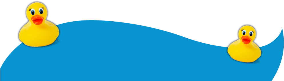 Adopt A Duck (1000x359), Png Download