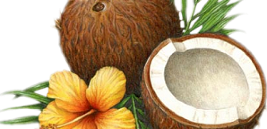 Surprising Beauty Benefits Of Coconut Oil - Coconut Oil (870x420), Png Download