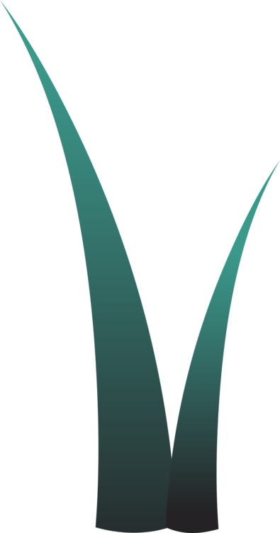 Computer Icons Plants Free Commercial - Clip Art (395x750), Png Download