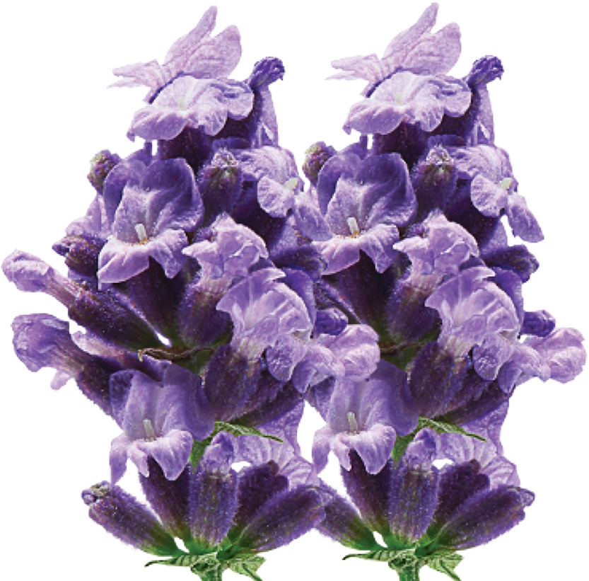 Artificial Flower (860x860), Png Download