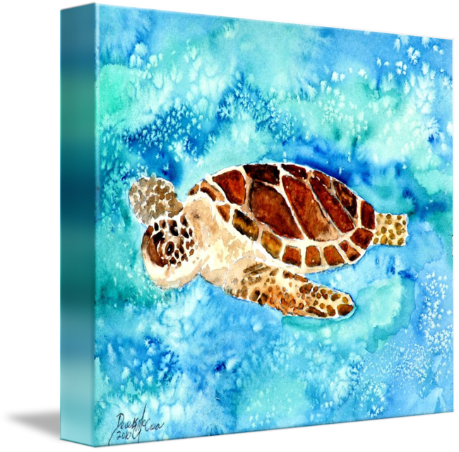 Sea Turtle Sea Life Painting Print By Derek Mccrea - Artwall Derek Mccrea 'getting Down' Gallery-wrapped (650x640), Png Download