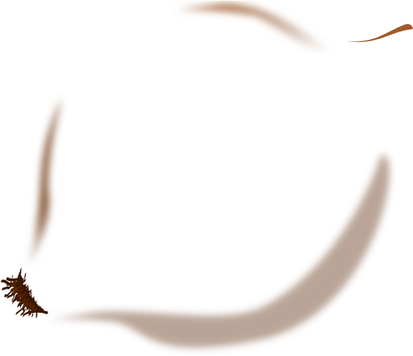 How To Set Use Onion Svg Vector (600x528), Png Download