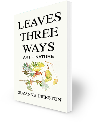 Try Nature Printing With This Free Download - Howard University (360x432), Png Download