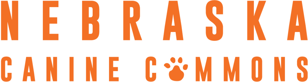 Ncc Logo O - Chiba Lotte Marines (1000x269), Png Download