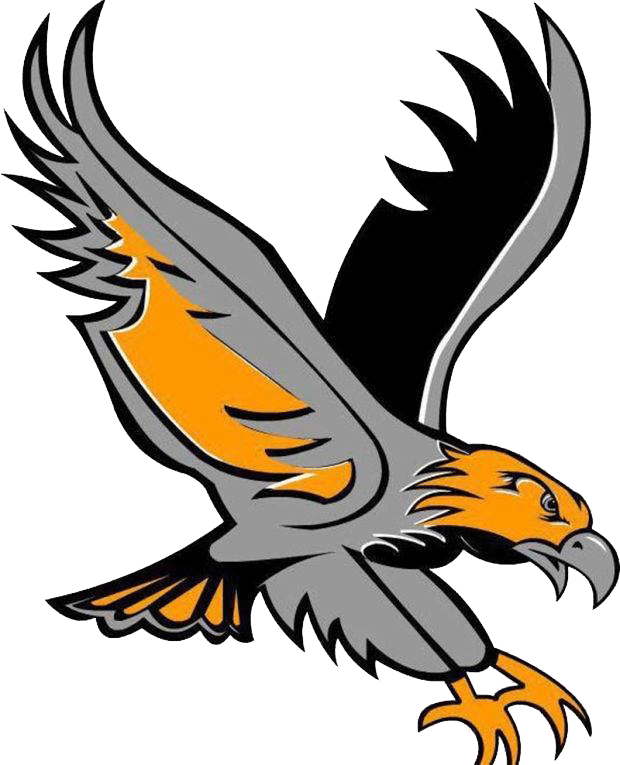 River Hawk Logo - Hawk Logo (620x765), Png Download