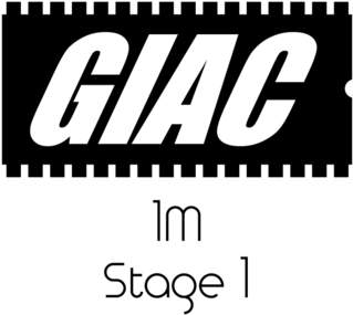 Bmw 1m Giac Stage 1 Performance Ecu Software Upgrade - Giac Program - Stock (480x480), Png Download
