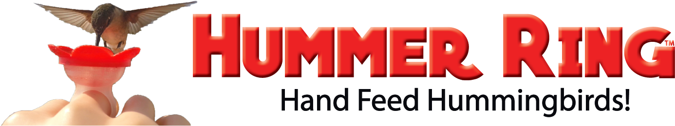 Hand Feeding Humming Birds - Miniblossom Hummingbird Feeder Stake (1479x336), Png Download