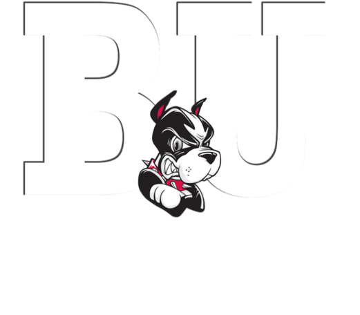 Boston University Christians On Campus Icon White - Boston Terriers Magnet Rr 4" Round Vinyl Auto Home (600x600), Png Download