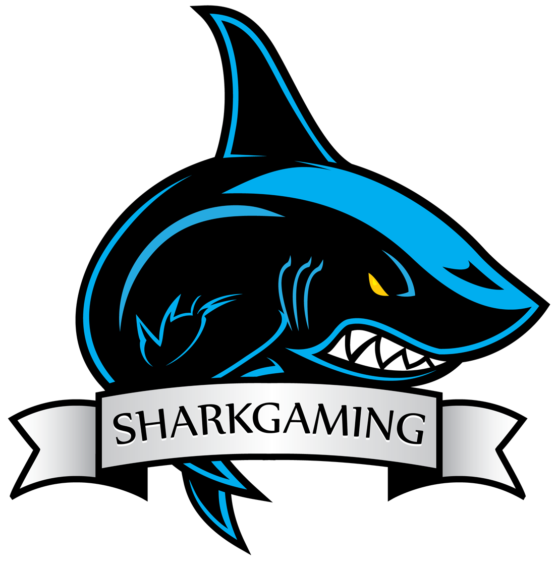 Shark Gaming - Drafts - Nzxt Phantom 240 No Power Supply Atx Mid Tower (matte (1104x1126), Png Download