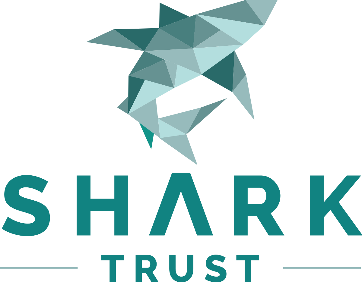 Shark Trust Logo (1200x936), Png Download