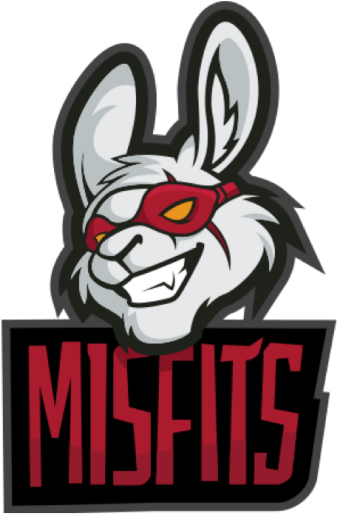 Misfits - Team Misfits (300x450), Png Download