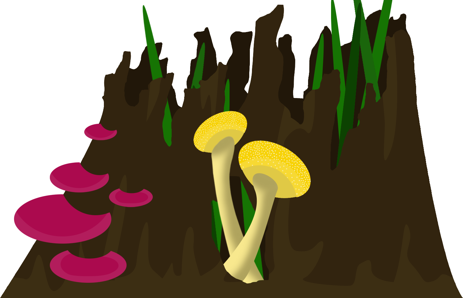 Illustration (1551x997), Png Download
