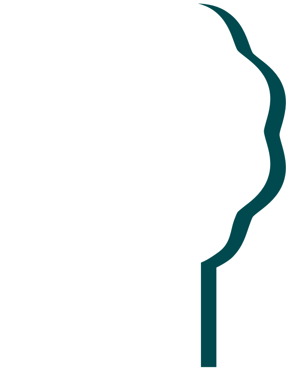 A Guide To 'at Our Best - Illustration (578x744), Png Download