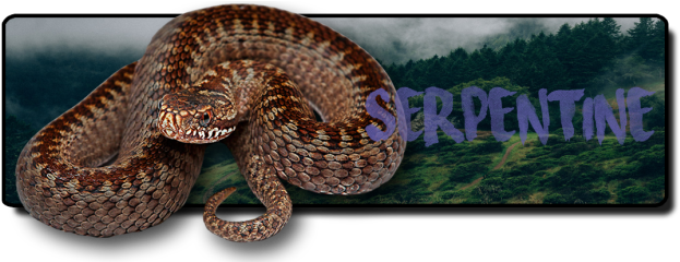 [ Img] - Serpent (638x239), Png Download